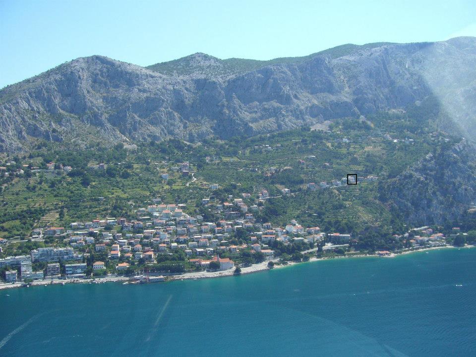 Apartment Cvita